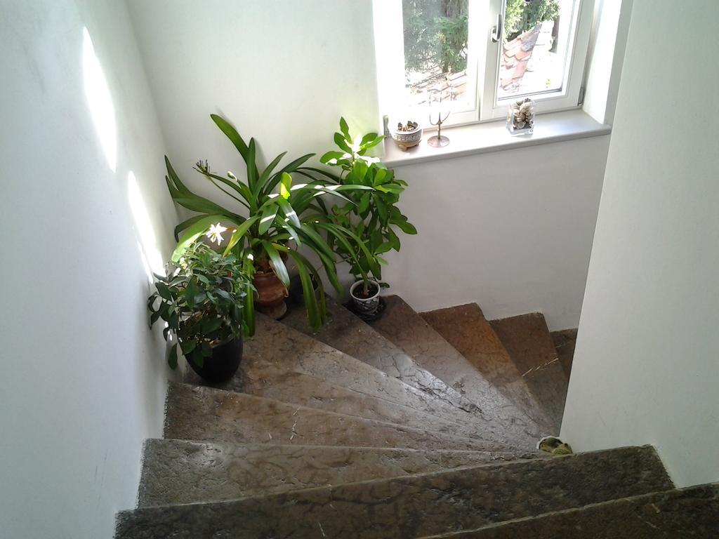 Gardenview Privat Studio *