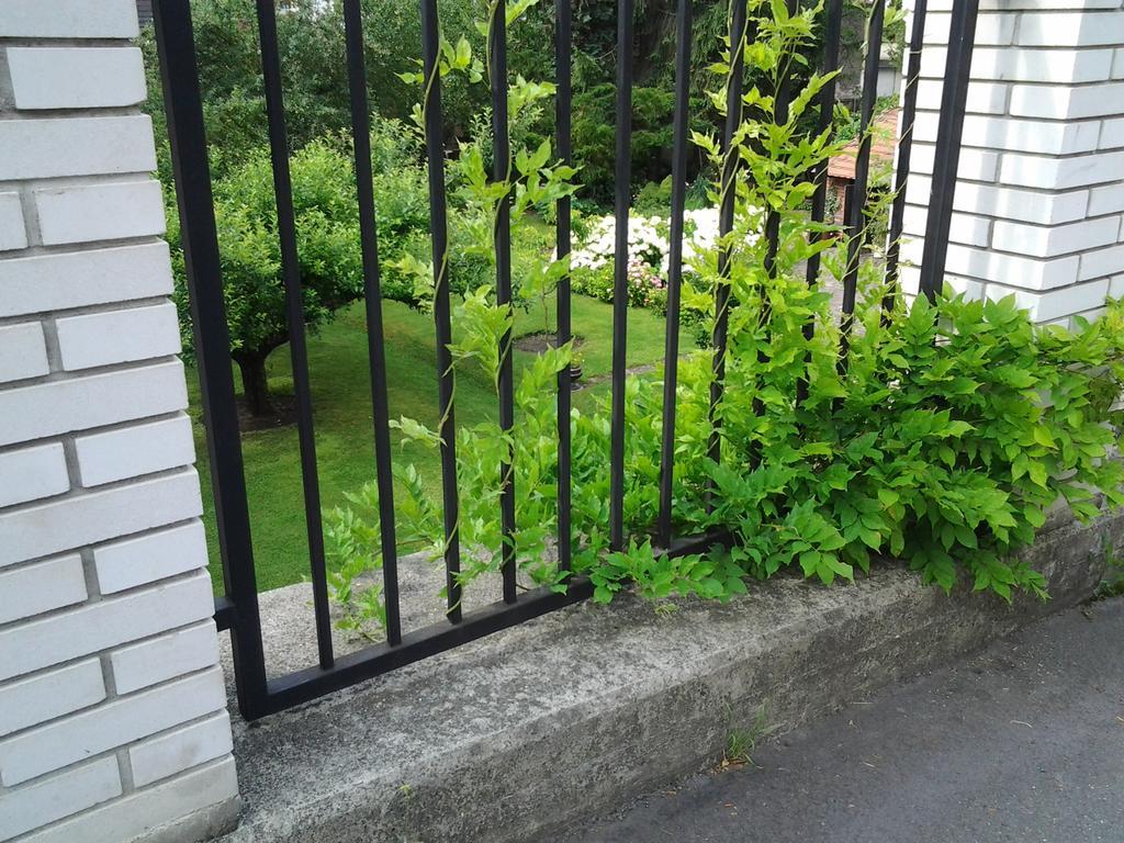 Gardenview Privat Studio