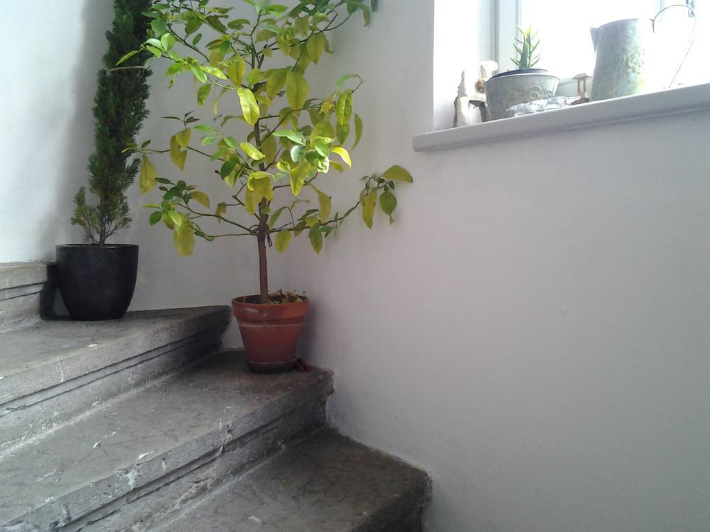 Apartamento Gardenview Privat Studio